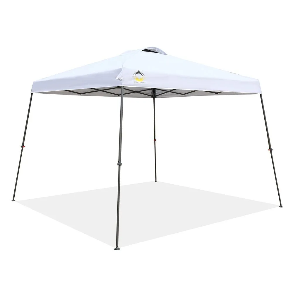 10 x 10 Canopy