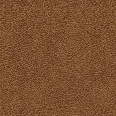 Carianna Loveseat