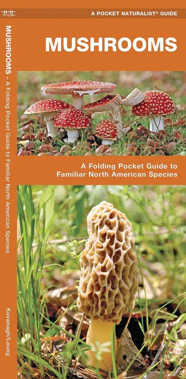 Mushrooms: A Folding Pocket Guide to Familiar North American Species (Nature Observation North America) Pamphlet  April 14, 2025