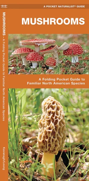 Mushrooms: A Folding Pocket Guide to Familiar North American Species (Nature Observation North America) Pamphlet  April 14, 2025